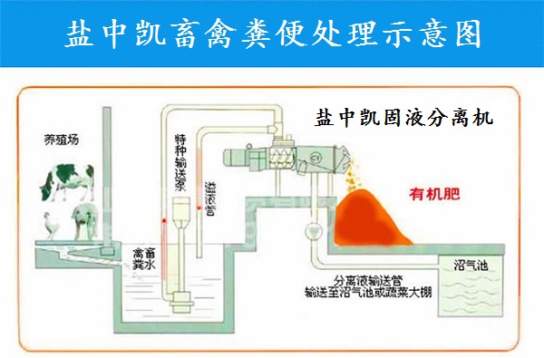 香蕉视频免费下载