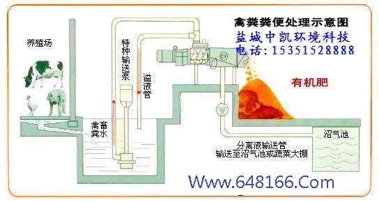 香蕉视频免费下载示意图